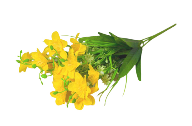 Narcis 5 výhonků 10 květů 36cm žlutý (2ks/bal)