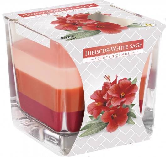 Bispol Svíčka ve skle 170g Hibiscus White Sage (6ks/krt)