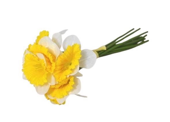 Narcis svazek 33cm bílý malé květy 